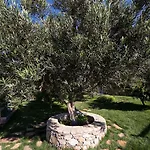 Mavikarga * בוזקאדה
