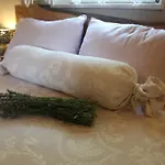 Mavikarga * בוזקאדה