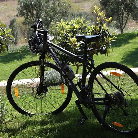 Mavikarga Oda ve Kahvaltı *