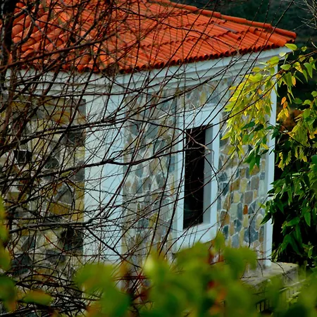 Mavikarga Oda ve Kahvaltı *