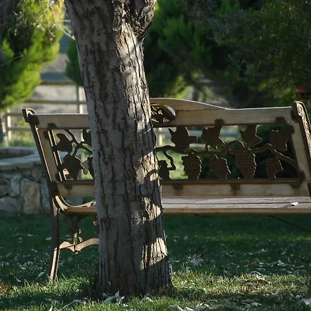 Oda ve Kahvaltı Mavikarga Bozcaada