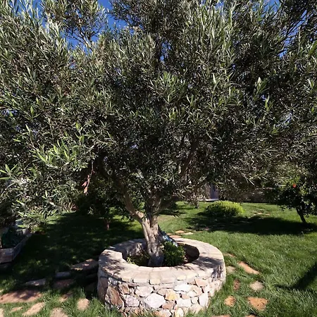 Mavikarga * Bozcaada