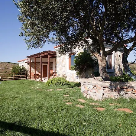 Oda ve Kahvaltı Mavikarga