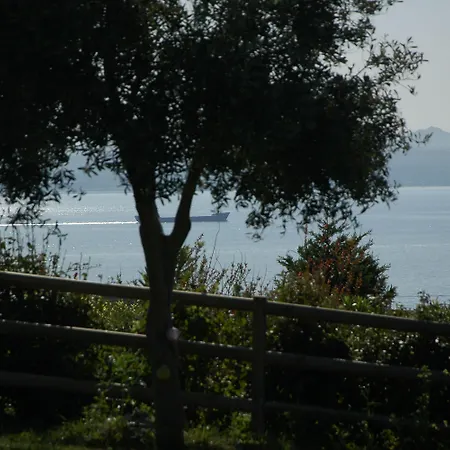 Mavikarga Oda ve Kahvaltı