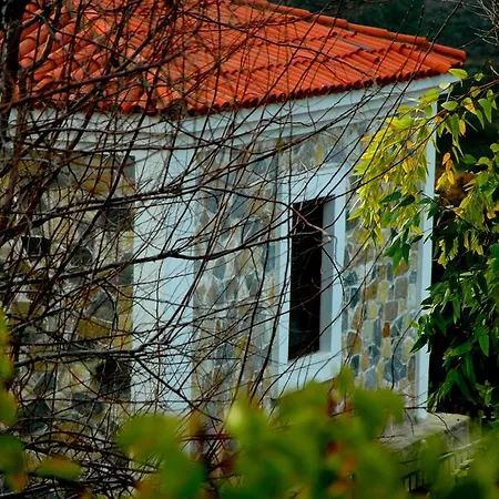 Mavikarga * Bozcaada
