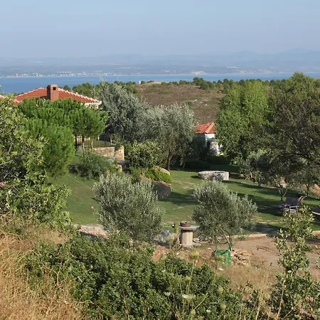 Oda ve Kahvaltı Mavikarga *