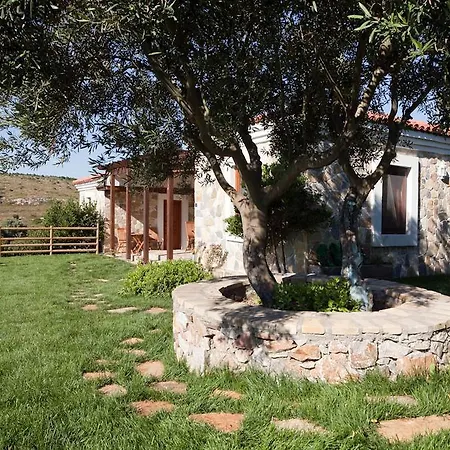 Mavikarga Bed & Breakfast *