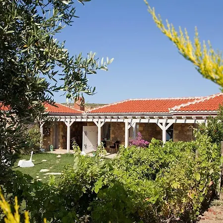 Mavikarga Oda ve Kahvaltı