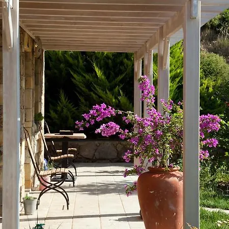 Mavikarga Bed & Breakfast *