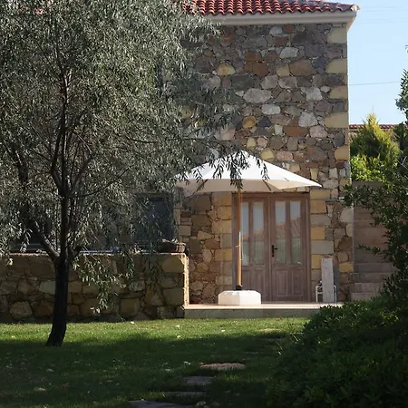 Oda ve Kahvaltı Mavikarga *