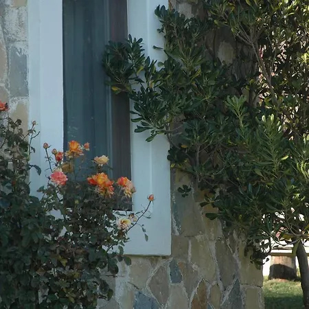 Oda ve Kahvaltı Mavikarga