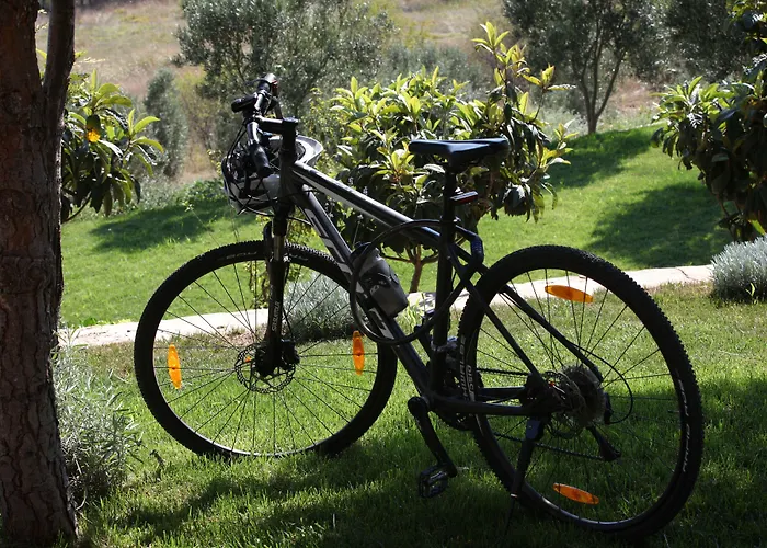 Mavikarga Отель типа 