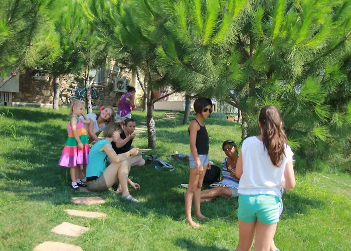 Mavikarga Бозджаада