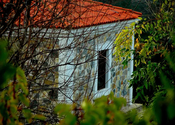 Mavikarga Отель типа 