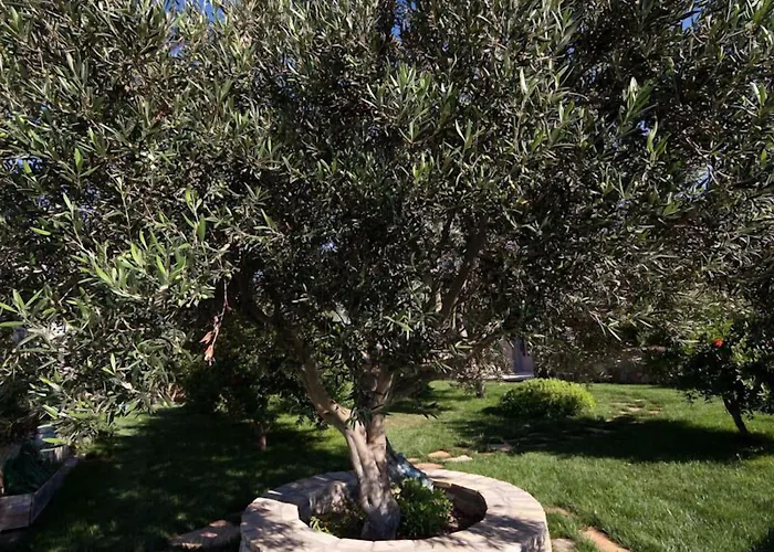 Mavikarga * Бозджаада