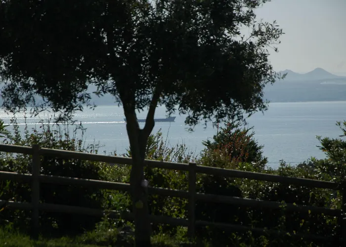 Mavikarga Отель типа 