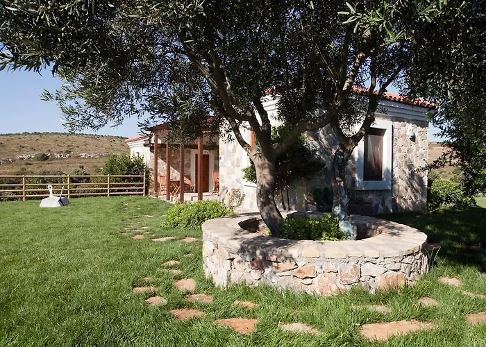 Mavikarga Отель типа 