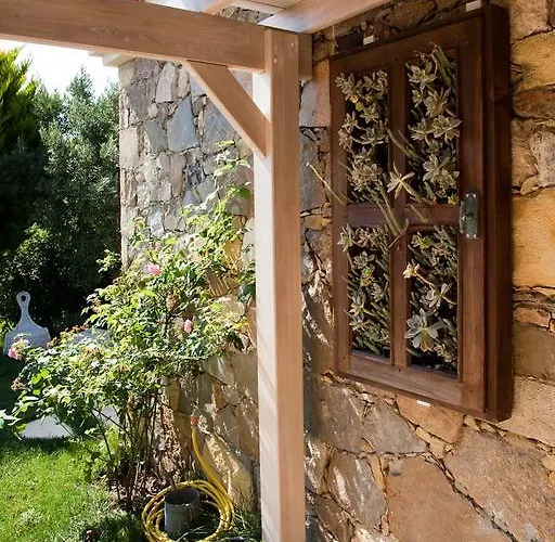 Mavikarga Отель типа 