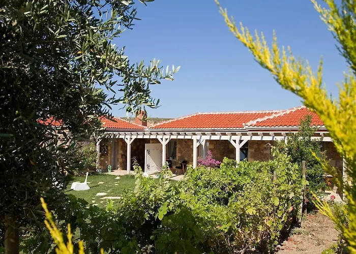 Mavikarga Отель типа 